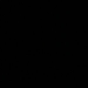 Meet your Posher, Hector